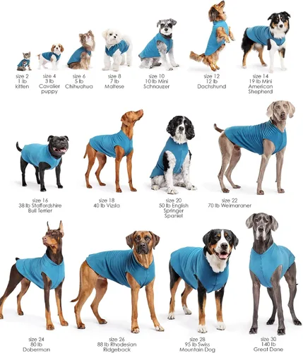 Vista 2 de Goldpaw Duluth - Chaleco de Suéter de Doble Forro Polar para Perros Pequeños, forro polar suave y elástico, chaqueta cálida para mascotas para otoño