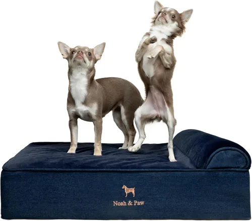 Vista 15 de NOAH & PAW Cama pequeña para perros, 20 x 15 x 6.5 pulgadas, cama para gatos de interior, espuma viscoelástica ortopédica de cáscara de huevo Verde