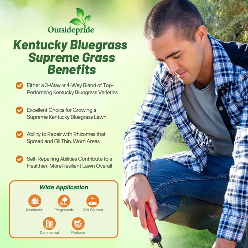 Vista 2 de Outsidepride Supreme Kentucky Bluegrass Seed Mix – 5 libras tolerante al frío, césped de textura fina tipo césped con revestimiento OptiGrowth