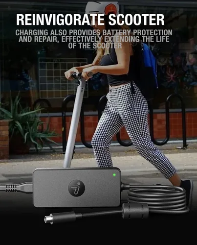 Vista 9 de Adaptador de 42 V CA/CC compatible con Segway Ninebot MAX G30P G30LP G30LE KickScooter ES1 ES2 ES2L ES3 Pro ES4 E22 E25 E45 Air T15 G30 G30D 36VDC