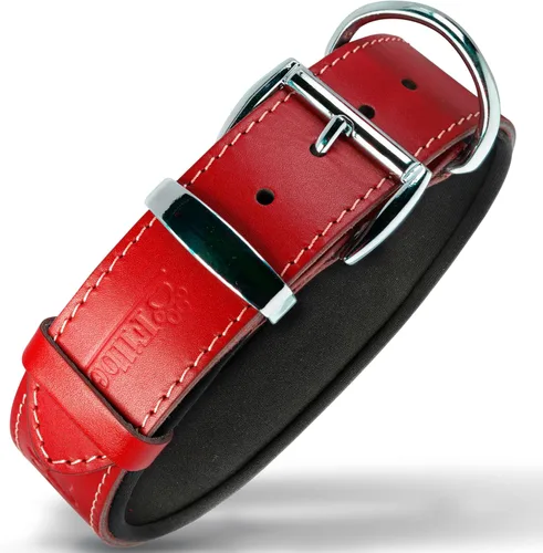 Vista 30 de Filbert Collar de cuero para perro, collar de cuero genuino para perros pequeños, estampado de patas en relieve con hebilla, grano completo curtido
