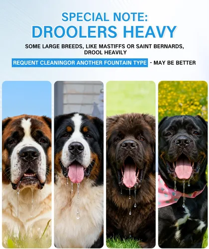 Vista 9 de Lesotc Fuente de agua para perros grande de 11L/3 galones, fuente de agua para mascotas grande de acero inoxidable con 4 filtros, dispensador