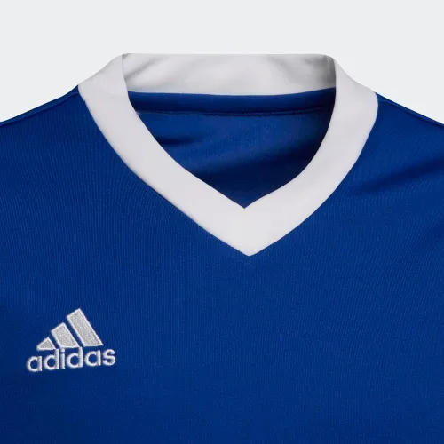 Vista 6 de adidas Camiseta Entrada 22 para niños
