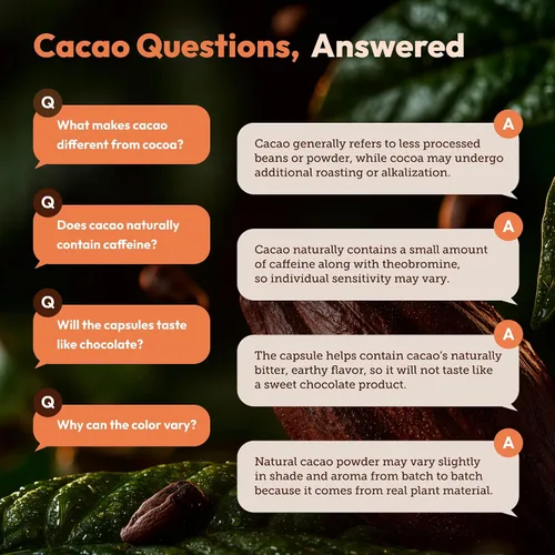 Vista 8 de Secrets of the Tribe Cacao 60 Cápsulas, 1000 mg, USDA Organic Cacao (Theobroma Cacao) Frijoles crudos secos (60 cápsulas)