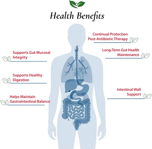Vista 4 de Foods For Gut Saccharomyces Boulardii Probiotic Powder 20 mil millones de ufc Sin aditivos Apoyo digestivo e inmunológico Alta potencia S.