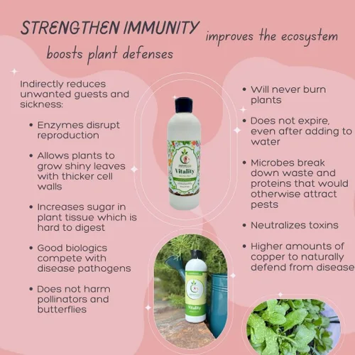 Vista 7 de VermisTerra Vitality - Alimento para plantas de interior y plantas de interior, fertilizante equilibrado de la madre tierra, orgánico, esquejes