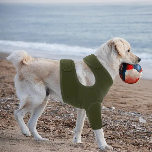 Vista 8 de Nanaki Trajes de recuperación para cirugía de perro para patas delanteras, manga para pierna de perro para dejar de lamer, pantalones anti-lamida