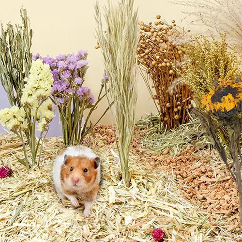 Vista 6 de Decoración Natural de Hábitat con Espiga de Grano y Flores y Hierbas para Lecho, Añadiendo Diversión - Accesorios para Hámsteres, Jerbos y Lemmings