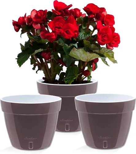 Vista 12 de Santino Macetas de 4.9 Pulgadas ORCHIDEA de Riego Automático para Orquídeas en Grafito - Maceta Decorativa para Sembrar con Excelente Aireación