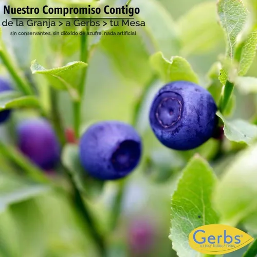Vista 2 de Frutas secas GERBS, Top 14 libres de alergia alimentaria, sin sulfuro, sin conservantes, sin OMG, vegano