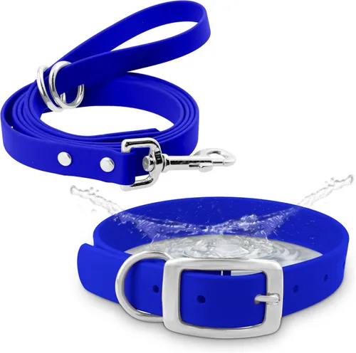 Vista 7 de Regal Dog Products Collar pequeño negro para perros con doble hebilla resistente y anillo en D Collar de perro ajustable de Biothane