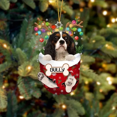 Vista 50 de IZI POD Affenpinscher Adorno de Navidad personalizado para perro, adorno de bolsillo de nieve para perro para árbol de Navidad, adorno acrílico