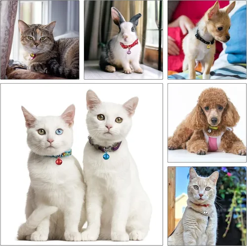 Vista 4 de TIESOME Campanas para mascotas para collar de perro y gato, accesorios colgantes para mascotas, acero inoxidable, 24 juegos de campanas