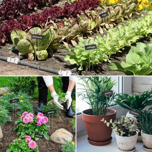 Vista 6 de STARTOSTAR Paquete de 30 etiquetas metálicas para plantas resistentes a la intemperie, altura de 10.6 pulgadas, área de etiqueta de 3.5 x 1.2