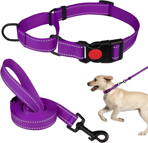 Vista 8 de Set de Collar y Correa Martingale para Perros Collares de Martingale para Perros Collar de Martingale Reflectante para Perros Pequeños, Medianos