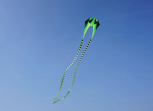Vista 7 de Besra Cometa grande de rana fluida de diamante 3D de una sola línea con 2 colas largas, deportes divertidos al aire libre para niños y adultos