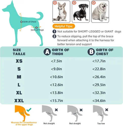 Vista 5 de Rodillera para perro para pierna trasera desgarrada, ajustable para pierna trasera con 7 estabilizadores, reduce el dolor, lesiones de ligamentos