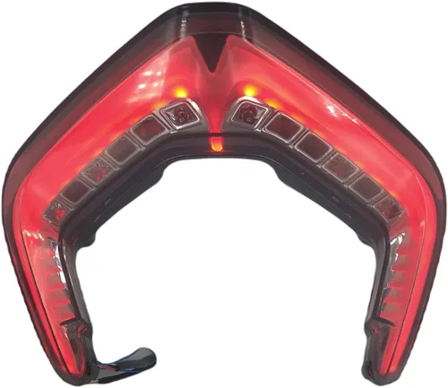 Vista 2 de FIT Ducati - Luz trasera ahumada para Panigale V2 V4 V4S V4R Speciale 2018-2022