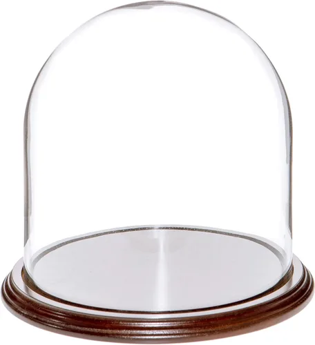 Vista 5 de Plymor Cúpula de cristal de 8" x 8" (base de madera MDF negra)