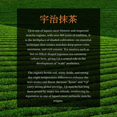 Vista 9 de JEAU CHAU Uji Matcha Polvo de Kyoto Japón – Grado Ceremonial 3.5 oz (100 g) – Polvo de té verde japonés premium para café con leche, hornear y té