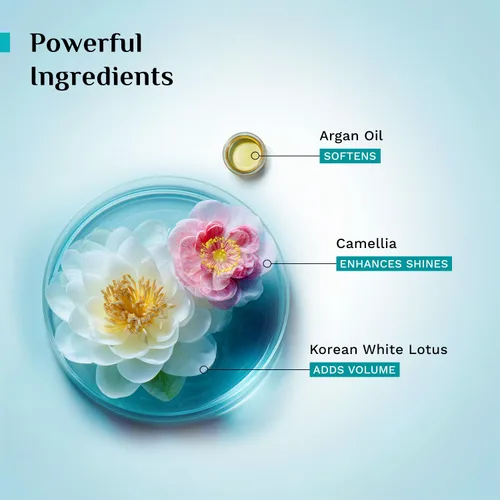 Vista 4 de Pilgrim Mascarilla capilar de aceite de argán coreano con loto blanco y camelia, acondicionador profundo e hidratación para cabello seco dañado