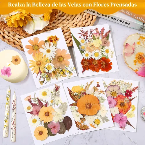 Vista 6 de Flores secas prensadas para resina, flores prensadas reales, hojas secas, kit de hierbas naturales a granel para álbumes de recortes, manualidades