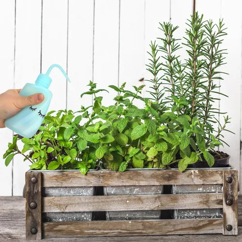 Vista 9 de VILLCASE 6 botellas de plástico de 8 onzas con boquilla de codo para riego preciso, limpieza de pestañas, tatuaje y cuidado de plantas