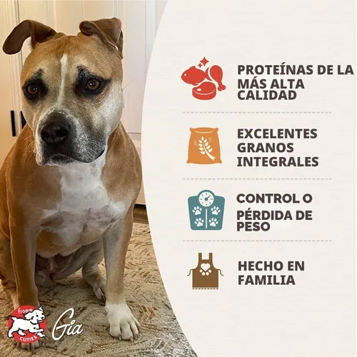 Vista 3 de Comida seca premium Fromm Gold para control de peso para perros - Alimento para perros de gestión de peso para razas medianas y pequeñas - Receta