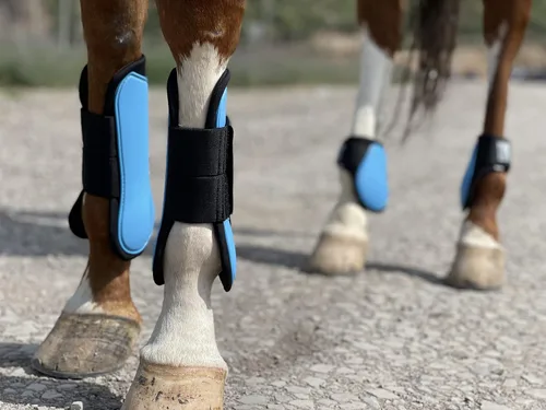 Vista 8 de Ride Now Juego de 4 botas de tendón de caballo con frente abierto/Fetlock para caballo