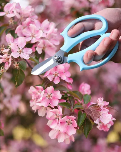 Vista 3 de Tijeras de flores – Tijeras florales de acero inoxidable, cortadores de floristería para tallos, tijeras de plantas de jardín para flores frescas