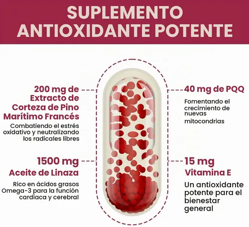Vista 3 de Pycnogeno con PQQ, extracto de corteza de pino marítimo francés premium, 60 cápsulas blandas Doble entrega única para una máxima absorción