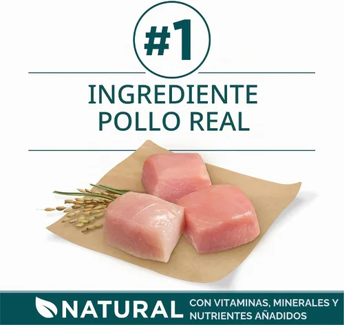 Vista 3 de Purina ONE - Alimento para cachorros de raza grande en seco, fórmula +Plus de raza grande, bolsa de 16.5 libras