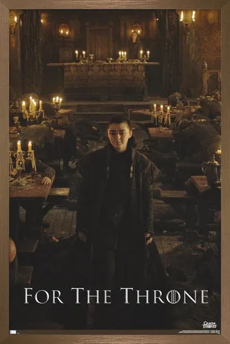 Vista 13 de Trends International Juego de tronos - Póster de pared de Arya Stark, 14.725 x 22.375 pulgadas, versión enmarcada de madera de granero