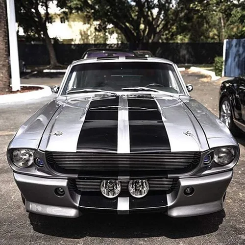 Vista 2 de 1 kit de calcomanías de rayas completas compatibles con Ford Mustang clásico 1966-1967 GT500 de 1ª