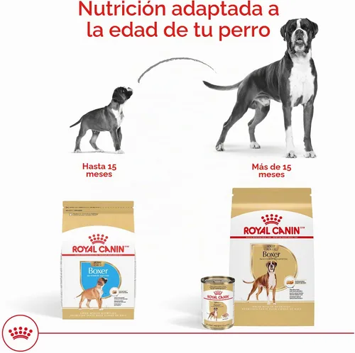 Vista 7 de ROYAL CANIN Boxer Puppy - Alimento seco para perros, bolsa de 30 libras