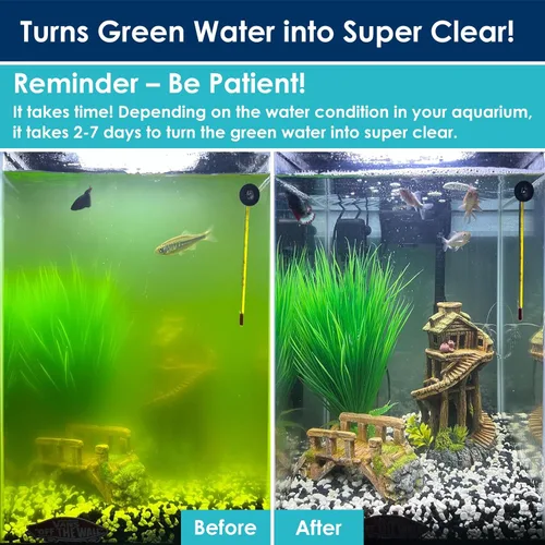 Vista 2 de Filtro U-V para acuario para agua verde, máquina limpia verde para peceras con aireación y salida de agua doble, bomba de agua sumergible y luz U-V