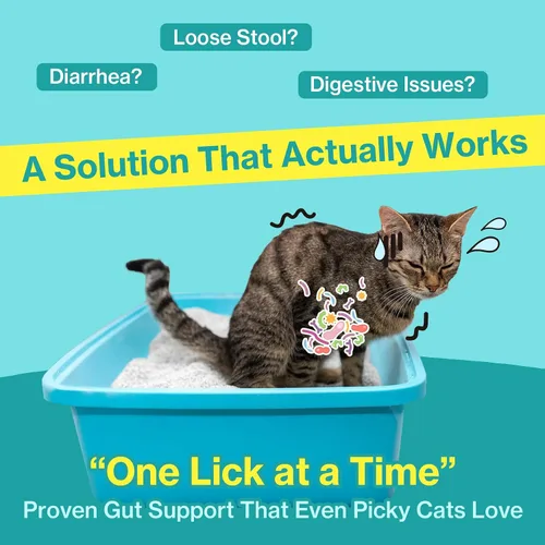 Vista 2 de Doctor By Biome Probióticos para gatos Anti Diarrea Apoyo para el Intestino Felino y Digestivo Salud Inmunológica Estómago Sensible Estreñimiento