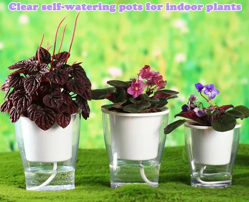 Vista 6 de 3 paquetes de macetas grandes transparentes de riego automático de 7 pulgadas, macetas de plástico de color violeta africano, macetas de plástico
