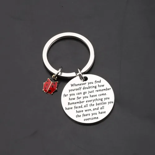 Vista 4 de TIIMG Llavero inspirador de mariquita, regalos para amantes de la buena suerte, regalos para amigas, mejores amigas