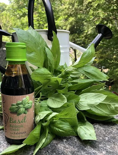Vista 4 de Messino Glaseado de vinagre balsámico de albahaca importado de Grecia, 8.5 fl oz