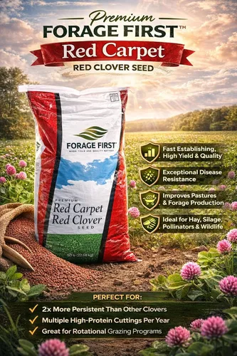 Vista 9 de Semilla de trébol rojo – Semilla de forraje y pasto de alto rendimiento, establecimiento rápido, crecimiento multicorte, bolsa de 50 libras – La