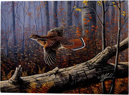 Vista 6 de Planeador Windfall Ruffed Grouse de Wilhelm Goebel, 14x19 pulgadas