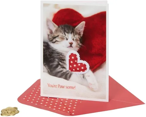 Vista 8 de NIQUEA.D, Foto Gatito Y Corazón Almohadas Tarjeta De San Valentín