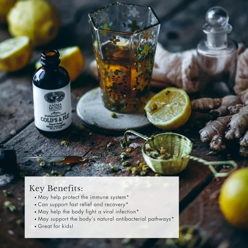 Vista 2 de Anima Mundi Apothecary Tónico para el resfriado y la gripe - Gotas de apoyo inmunológico con equinácea, ajo, raíz de cúrcuma y jengibre fresco