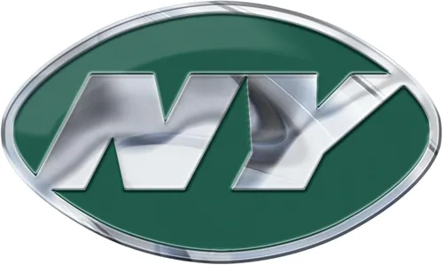 Vista 25 de FANMATS Emblema de Color Automático de la NFL