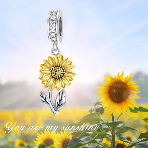 Vista 2 de Dijes para pulsera de plata de ley 925 cuerno italianoSol de Filipinas