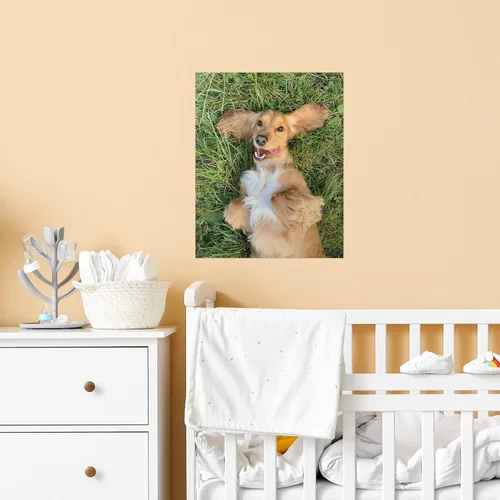 Vista 3 de SIGNFORD Mural de pared personalizado con tus fotos, papel tapiz extraíble, decoración de pared personalizada para dormitorio, sala de estar, 8 x 10