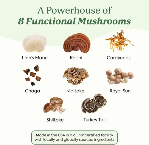 Vista 3 de Plant People WonderDay - Gomitas de hongos, melena de león, Cordyceps, suplemento de hongo Chaga para apoyar el sistema inmunológico, desestresar