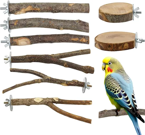 Vista 3 de 8 juguetes de loro, perca de madera natural para pájaros, juguetes de periquito colgables.