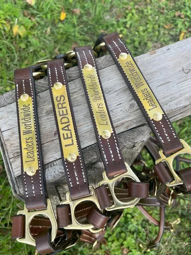 Vista 3 de Leaders - Cabestro de cuero para caballos con placa de nombre grabada personalizada para caballo